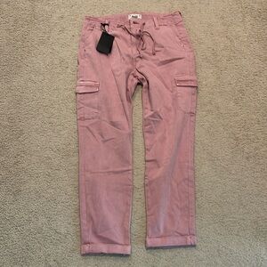 NWT Paige Christy pants